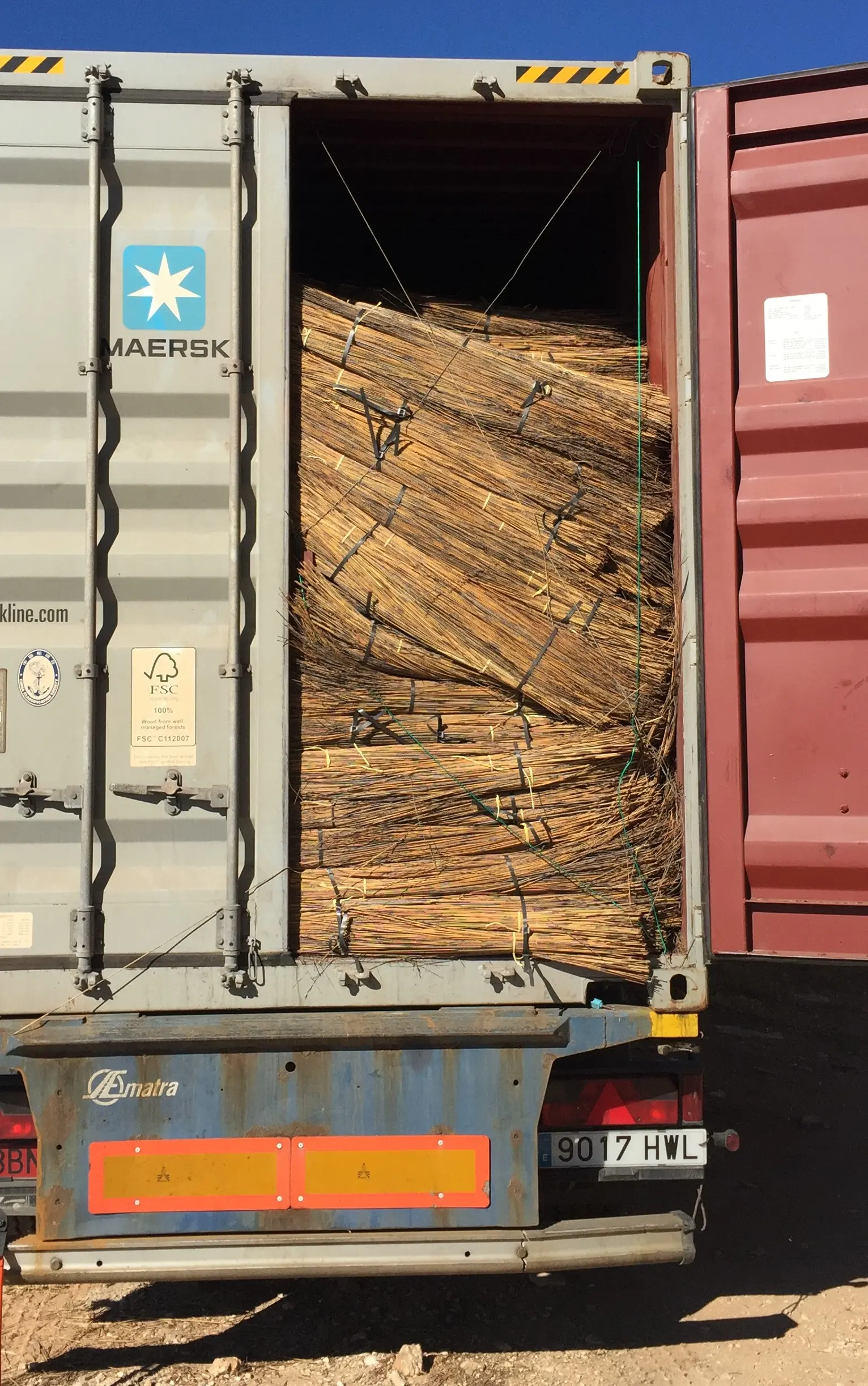 Contenedor de importación cargado de manojos de junco africano