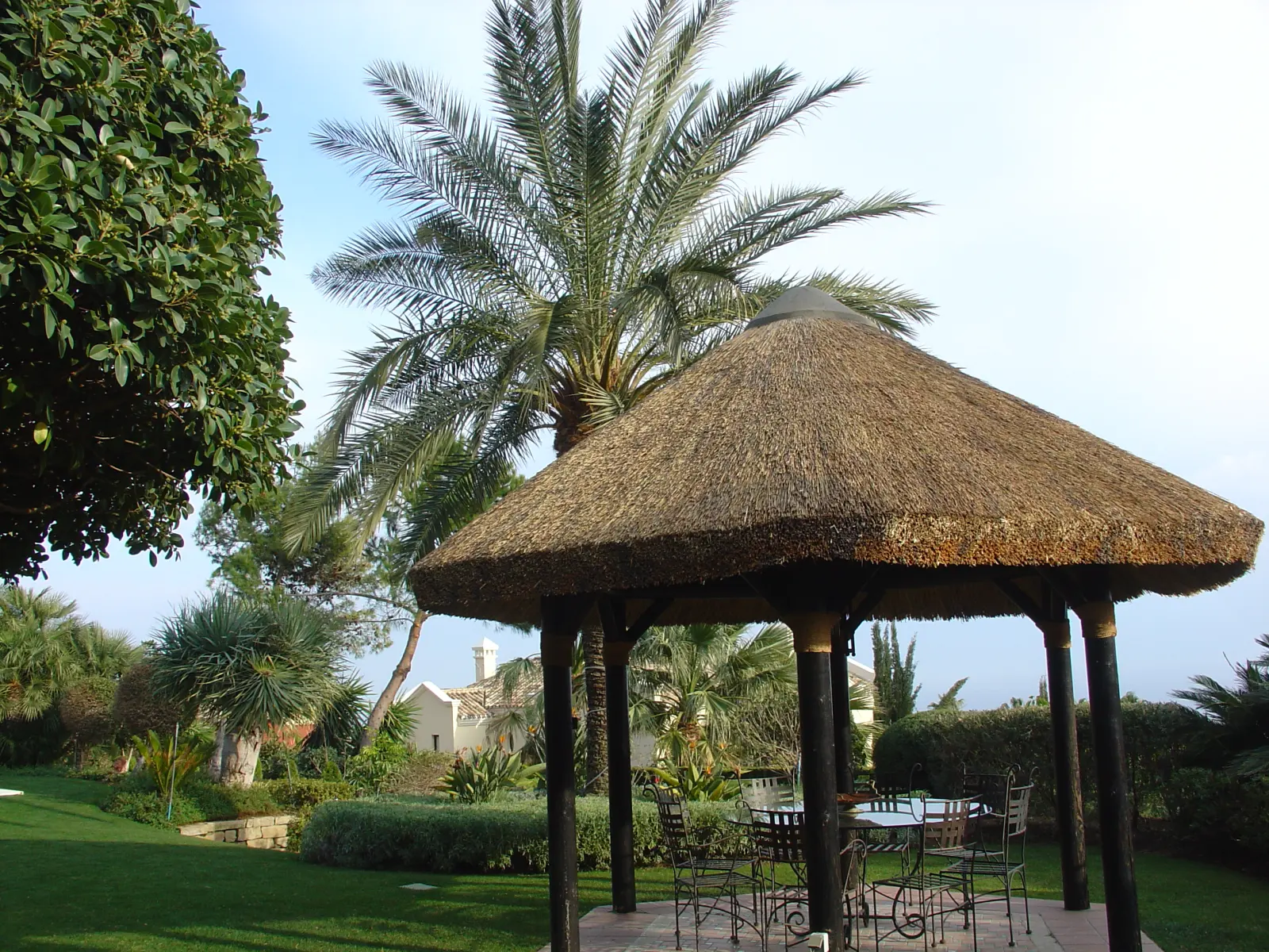 Palapa de junco africano en un jardín con palmeras