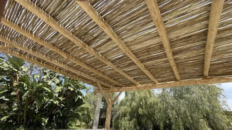 Techo de varas de eucalipto sobre vigas de madera
