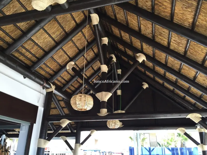 Casa Emilio: inside the beach bar under African thatch