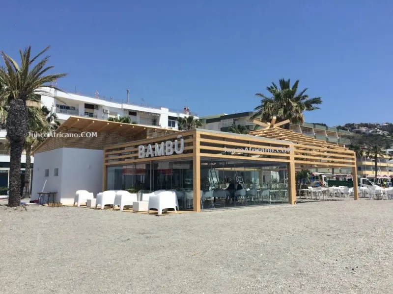 Bambú beach bar: glulam pergola