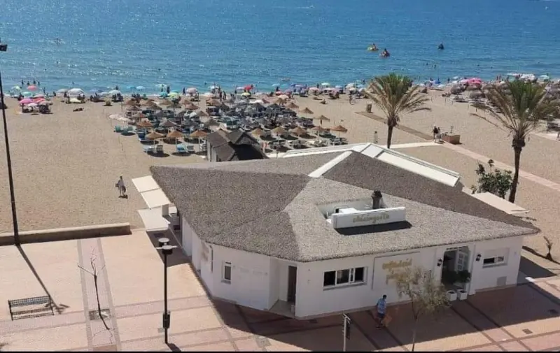 Beach bar with a synthetic palm thatch roof, aerial view