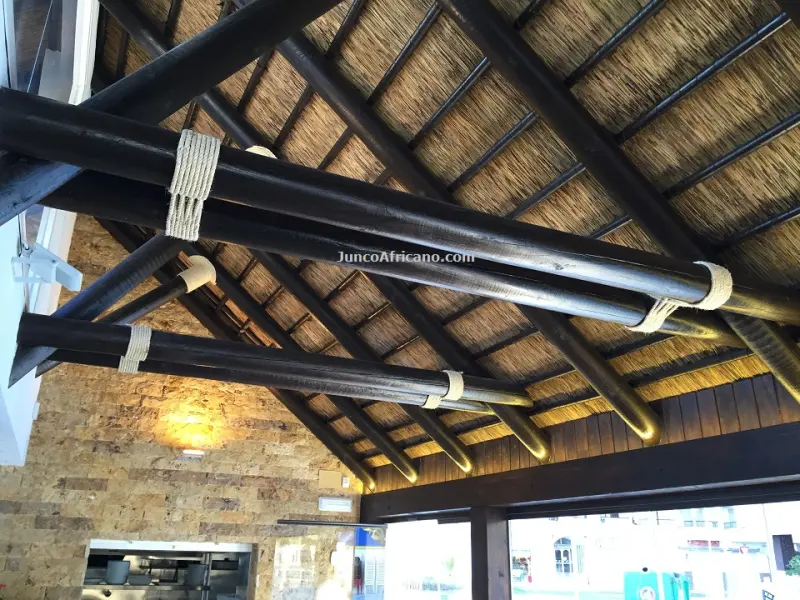 La Dorada: the pergola’s trusses seen from inside