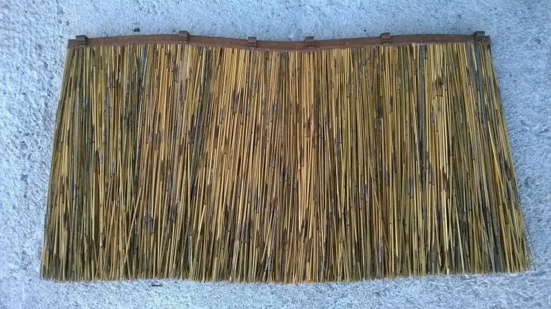 Hoja de junco africano natural de 45 × 80 cm