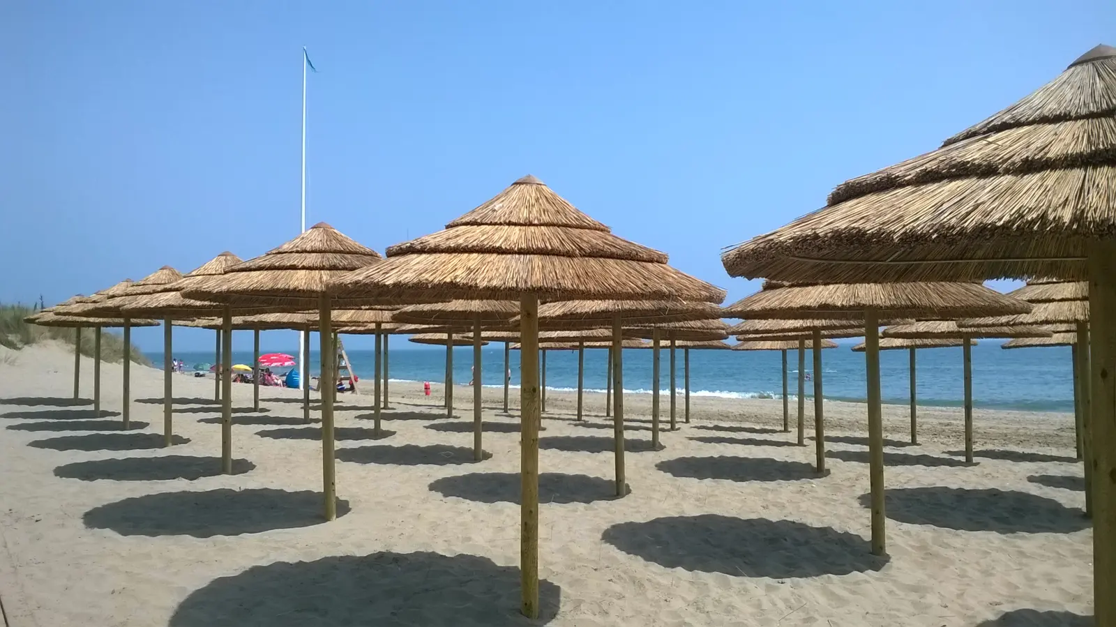 Row of African thatch umbrellas on the beach